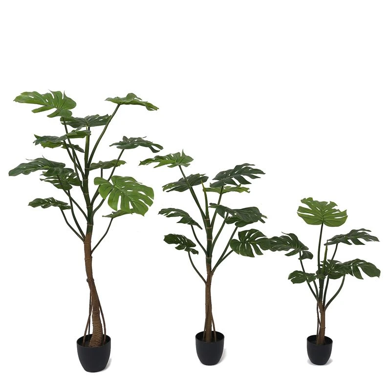 Wie erstelle ich einen simulierten Monstera-Baum?