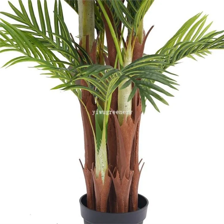 Outdoor palm trees