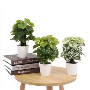 Künstlicher Bonsai